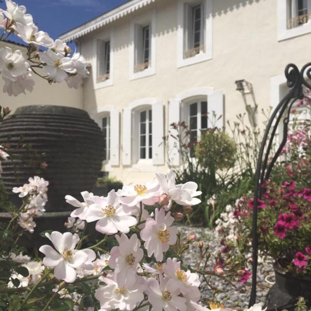 Hontanx Maison D'Hotes Lassaubatju المظهر الخارجي الصورة
